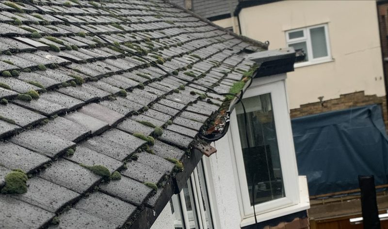 What Are the Dangers of Ignoring Your Gutters?