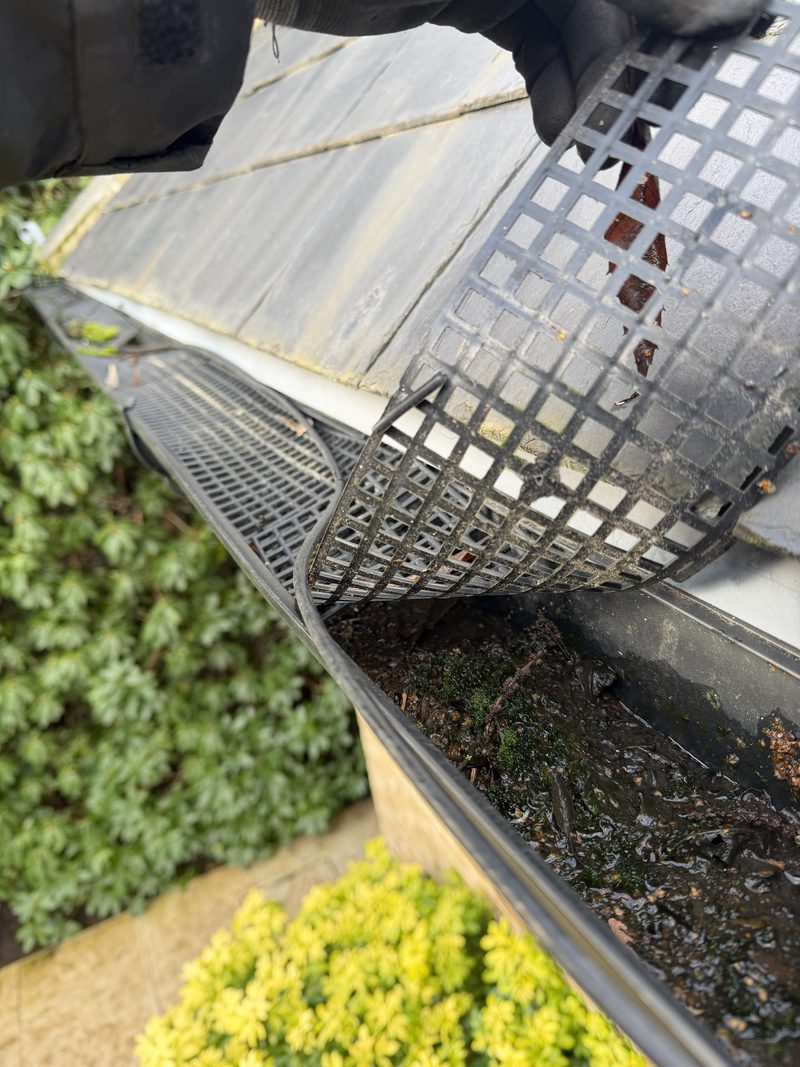 looking underneath a gutter guard, exposing moss and dirt
